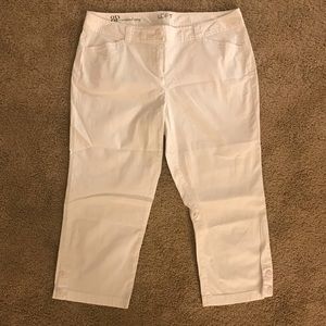 Loft Crop Pants